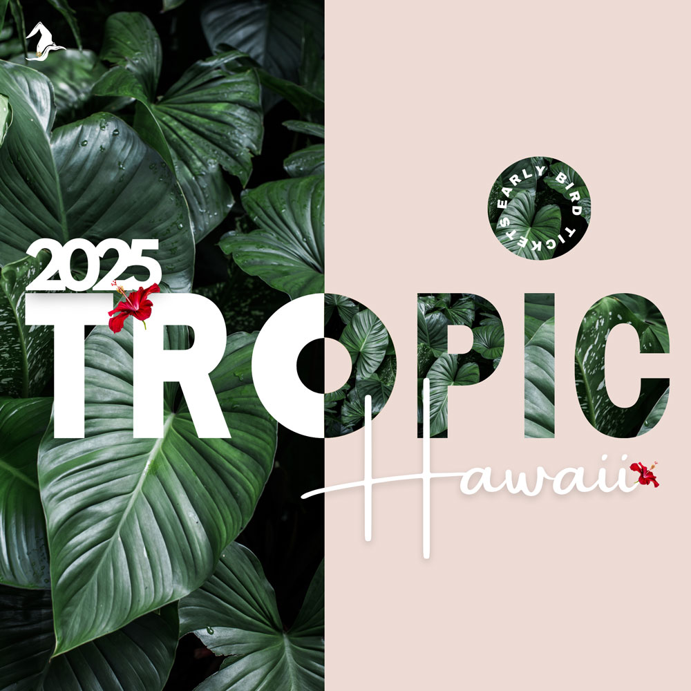 Example Tropical Conference Canva Design by The Admin Witch