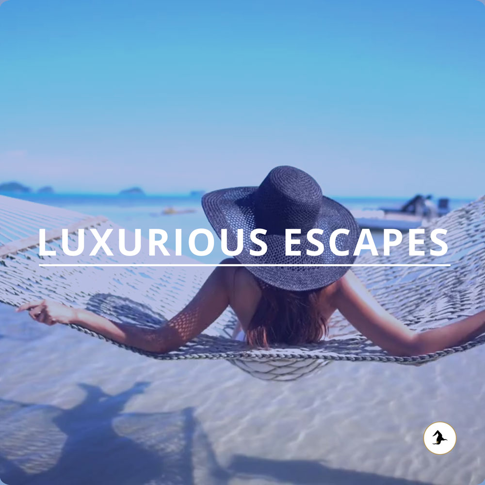 Example Holiday Canva Design by The Admin Witch